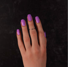 Load image into Gallery viewer, Purple Queen Anthias Polish
