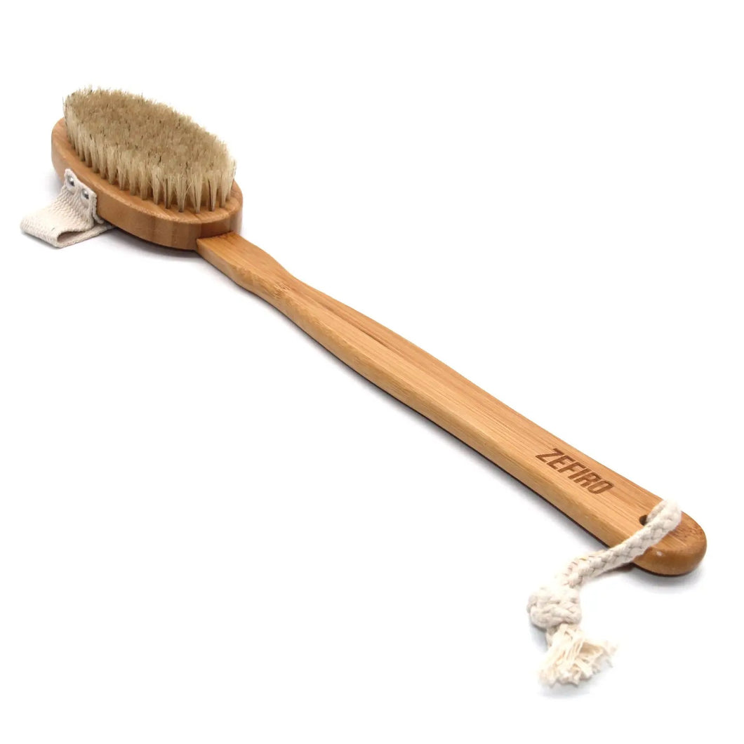 Dry/Wet Long Handled Body Brush